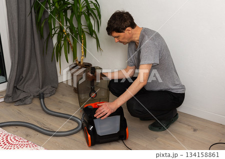 A person is kneeling on the floor in a living room, getting the vacuum cleaner ready. The space includes a plant and large windows with curtains A person is kneeling on the floor in a living room, getting the vacuum cleaner ready. The space includes a plant and large windows with curtains 134158861