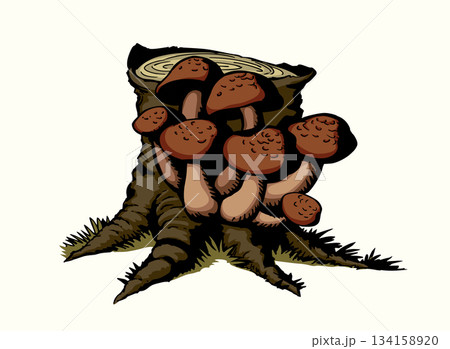 Vector drawing. Honey mushrooms on a stump Vector drawing. Honey mushrooms on a stump 134158920