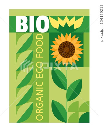 Food pattern poster. Natural eco product. Sunflower leaves and flower. Abstract graphic agriculture flyer design template. Farm harvest cultivation. Organic grow at plantation. Collage vector banner 134159215