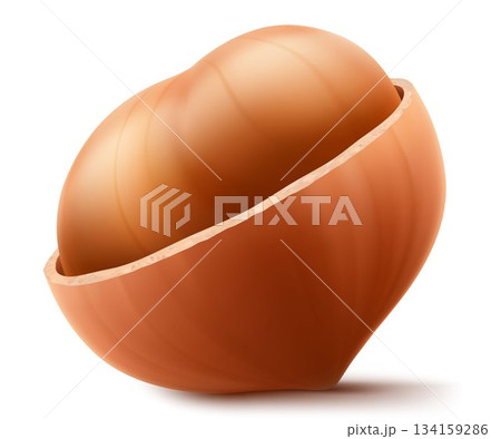 Half Peeled Hazelnuts Isolated on White Background. Hazelnut kernels are ripe and tasty, a healthy treat, a source of protein. For snacks and chocolate spread. Realistic 3d vector illustration. 134159286