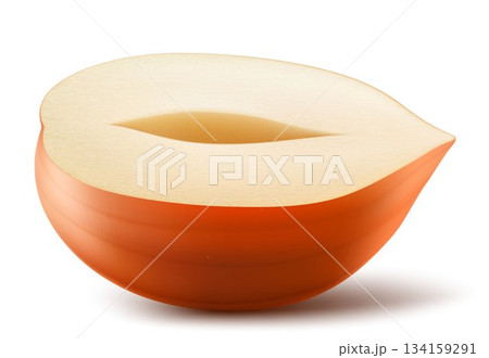 Half of a hazelnut isolated on a white background. Hazelnut in cross section. Hazelnut kernels are ripe and tasty, a healthy treat, a source of protein. Realistic 3d vector illustration. 134159291