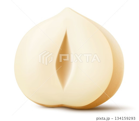 Half of shelled hazelnut isolated on a white background. Hazelnut in cross section. Hazelnut kernels are ripe and tasty, a healthy treat, a source of protein. Realistic 3d vector illustration. 134159293