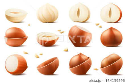 Set of realistic hazelnuts. Whole and half hazelnut isolated on white background. Peeled and unpeeled nuts. Hazelnut kernels are ripe and tasty, a source of protein. 3d vector illustration. 134159296