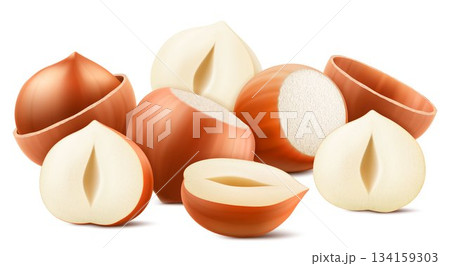 Set of realistic hazelnuts. Whole and half hazelnut isolated on white background. Peeled and unpeeled nuts. Hazelnut kernels are ripe and tasty, a source of protein. 3d vector illustration. 134159303
