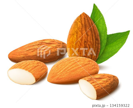Almond nut composition, different statements. Whole and cracked nuts, hulled and raw kernels and green leaves. Good for labels and stickers, packaging design. Realistic 3d Vector illustration 134159322