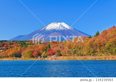 【山梨県】紅葉した山中湖と富士山 【山梨県】紅葉した山中湖と富士山 134159563