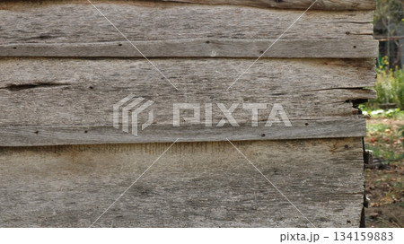 a section of a wooden outbuilding wall or an old fence made of gray, dry, weathered, dilapidated boards with a distinct wood grain, deep cracks, and a sawn-wood pattern 134159883