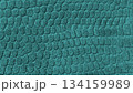Close-up of teal textile with raised scale-like pattern resembling reptile skin. Concept of exotic texture, luxury design, modern organic fabric in trendy color 134159989