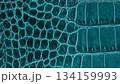 Close-up of teal crocodile texture with contrasting organic pattern. Natural background with reptile texture highlighting contrast of shapes and skin detail. Modern color backdrop 134159993