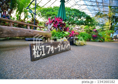 松江フォーゲルパークの風景 松江フォーゲルパークの風景 134160182