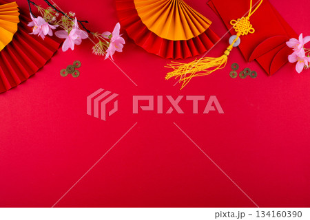 Chinese new year concept. Lunar year of snake Chinese new year concept. Lunar year of snake 134160390