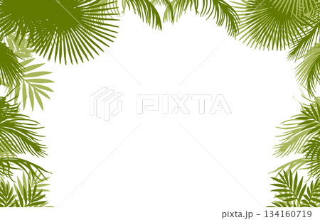 horizontal frame with palm leaves . Hand drawn. Not AI, vector illustration. 134160719