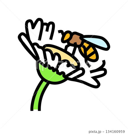 bee landing on a flower color icon vector illustration bee landing on a flower color icon vector illustration 134160959