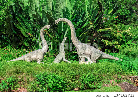 Installation A family of brachiosaurus dinosaurs among dense tropical greenery in Yanoda Park Hainan Installation A family of brachiosaurus dinosaurs among dense tropical greenery in Yanoda Park Hainan 134162713