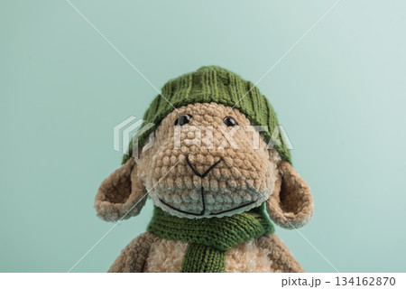Plush Sheep in Green Hat and Scarf on Teal Background Plush Sheep in Green Hat and Scarf on Teal Background 134162870