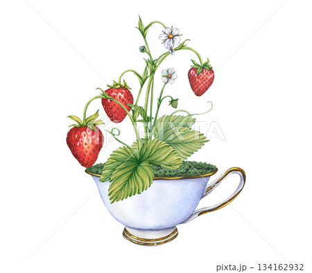 Strawberry branches with whole strawberries in Ceramic porcelain cup. Watercolor illustration of lite blue antique cup with strawberry bush and ripe berries strawberries. Fresh Summer Fruit in a mug 134162932