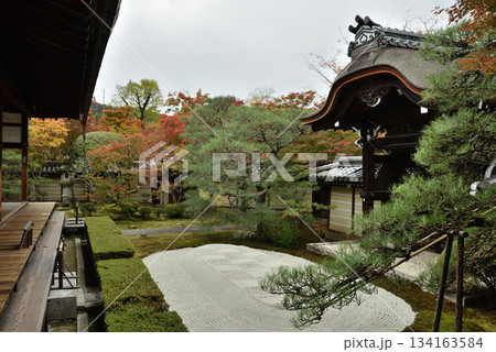 秋の永観堂 唐門と釈迦堂と盛砂(京都市左京区) 秋の永観堂 唐門と釈迦堂と盛砂(京都市左京区) 134163584