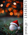 Festive golf ball with santa hat amidst glowing christmas lights for holiday design. Vertical banner. Copy space. White golf ball decorated with santa hat on green grass. For golf club, sports store 134163673