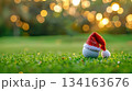 Festive golf ball with santa hat on grass background for christmas celebration. Horizontal banner. Copy space. White golf ball decorated with santa hat on a green grass. For golf club, sports store 134163676