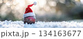 Festive golf ball with santa hat on snowy ground and blurred christmas lights. Horizontal banner. Copy space. Pink golf ball decorated with santa hat in the snow. For golf club, sports store 134163677