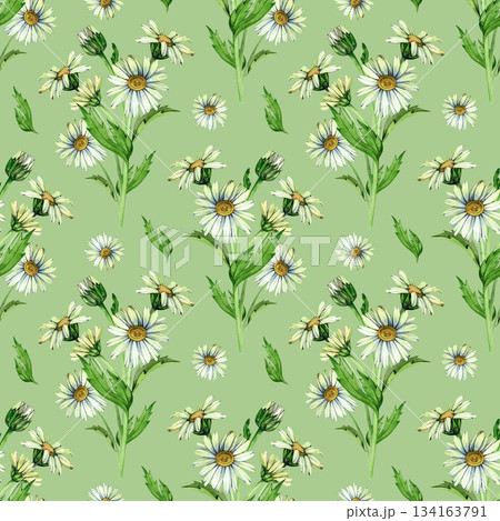 Seamless watercolor illustration pattern with delicate white daisies and fresh green stems. Light floral botanical design perfect for textile prints, wallpapers, wrapping paper, and romantic 134163791