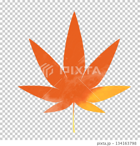 Autumn leaf illustration drawn with watercolor touch 134163798