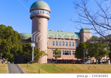 千葉県我孫子市鳥の博物館周辺2025年12月 千葉県我孫子市鳥の博物館周辺2025年12月 134163891