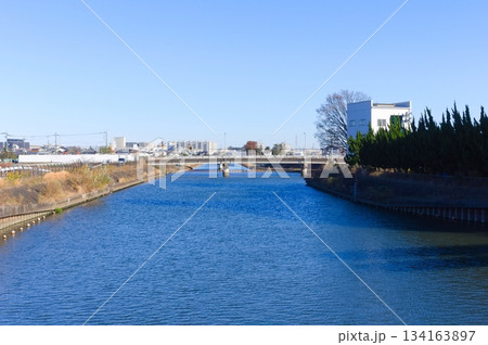 千葉県松戸市坂川2025年12月 134163897