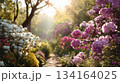 A winding stone trail surrounded by vibrant pink and white blossoms under golden sunlight rays 134164025