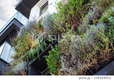 Green building in the city Green building in the city 134164052