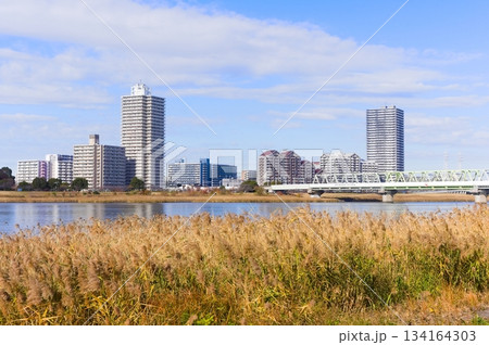 東京都江戸川区荒川サイクリングロード2025年12月 東京都江戸川区荒川サイクリングロード2025年12月 134164303