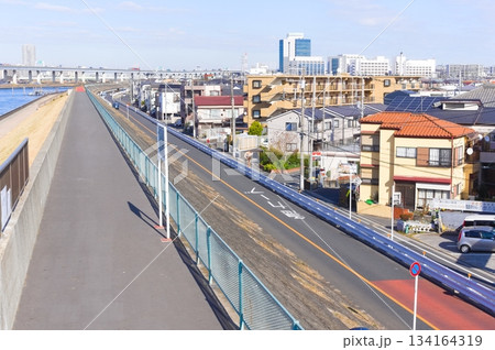 東京都江戸川区中川河口付近2025年12月 東京都江戸川区中川河口付近2025年12月 134164319