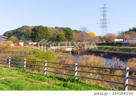 千葉県流山市坂川源流付近2025年12月 千葉県流山市坂川源流付近2025年12月 134164330