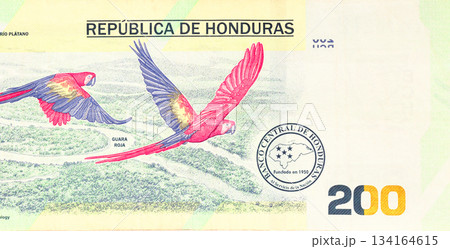 Honduran economy uses 200 lempira banknote provided by Banco Central de Honduras. Honduran economy uses 200 lempira banknote provided by Banco Central de Honduras. 134164615