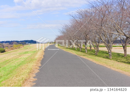 茨城県龍ヶ崎市小貝川沿い2025年12月 134164820
