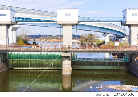茨城県龍ヶ崎市牛久沼周辺2025年12月 茨城県龍ヶ崎市牛久沼周辺2025年12月 134164936