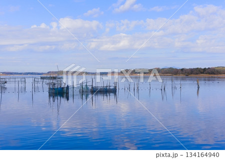 茨城県龍ヶ崎市牛久沼周辺2025年12月 茨城県龍ヶ崎市牛久沼周辺2025年12月 134164940