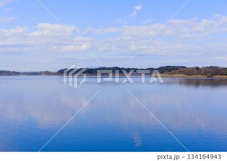 茨城県龍ヶ崎市牛久沼周辺2025年12月 茨城県龍ヶ崎市牛久沼周辺2025年12月 134164943