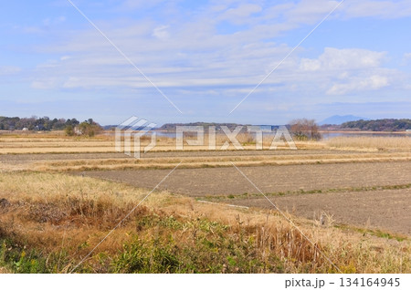 茨城県龍ヶ崎市牛久沼周辺2025年12月 茨城県龍ヶ崎市牛久沼周辺2025年12月 134164945