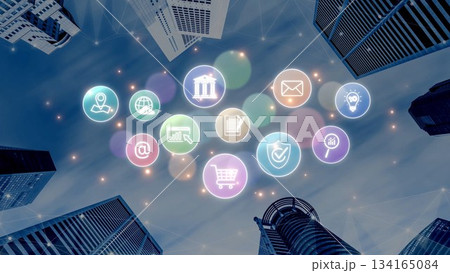 Digital Service Ecosystem and Business Icon Network Marrow 134165084