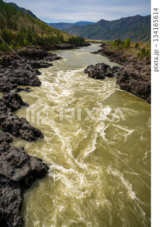 Narrowest and deepest section of Katun river with lava banks in Altai Russia. View from Oroktoy bridge reveals powerful mountain stream cutting through rocky gorge. 134165614