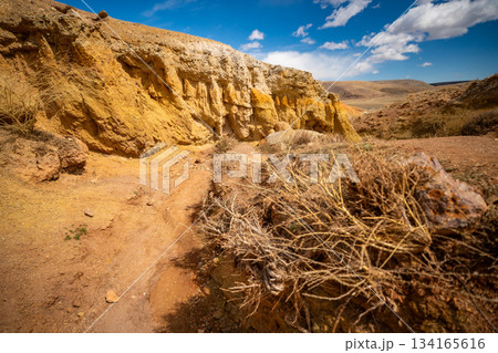 Panoramic view of red and yellow mountains with canyons and gorges at Mars Altai Russia. Popular tourist destination showcasing unique colorful geological formations. Panoramic view of red and yellow mountains with canyons and gorges at Mars Altai Russia. Popular tourist destination showcasing unique colorful geological formations. 134165616