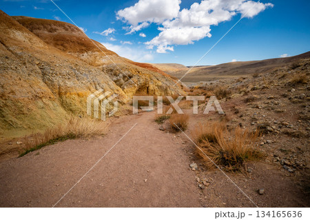 Panoramic view of red and yellow mountains with canyons and gorges at Mars Altai Russia. Popular tourist destination showcasing unique colorful geological formations. Panoramic view of red and yellow mountains with canyons and gorges at Mars Altai Russia. Popular tourist destination showcasing unique colorful geological formations. 134165636