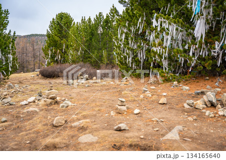 Sacred place with white ribbons tied on trees and stone cairns at Ulagan pass Altai Russia. Traditional spiritual site with ritual symbols 134165640