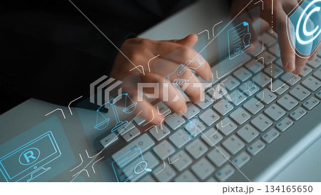 Copyright Protection and Intellectual Property Rights in Digital Content Marrow 134165650