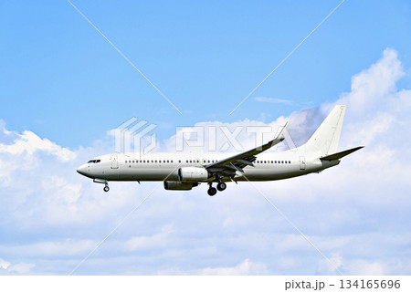 Passenger plane landing at the airport, under a blue sky with white clouds	 134165696