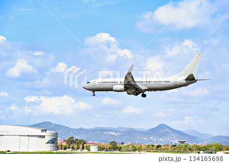 Passenger plane landing at the airport, under a blue sky with white clouds	 134165698