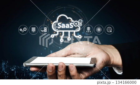 SaaS Software as a Service Platform Cloud System Muxer SaaS Software as a Service Platform Cloud System Muxer 134166000