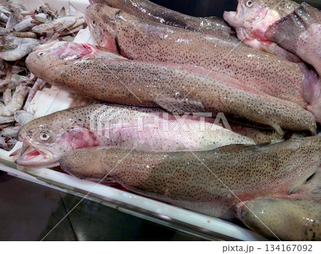 Fresh Chilled Trout Fish Arranged on a Display for Sale at a Market in the Afternoon 134167092