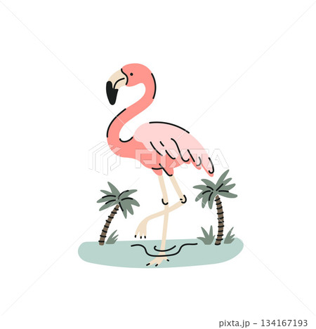 Pink flamingo stands in water against palm trees background, flat style vector illustration Pink flamingo stands in water against palm trees background, flat style vector illustration 134167193